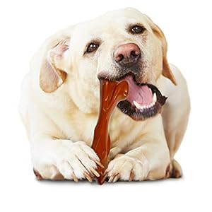Nylabone Power Chew Bison Bone Alternative Nylon Chew Toy for Dogs, Dog Toys for Aggressive Chewers, Bison Flavor, Large/Giant (1 Count) Nylabone Power Chew Bison Bone Alternative Nylon Chew Toy for Dogs, Dog Toys for Aggressive Chewers, Bison Flavor, Large/Giant (1 Count)