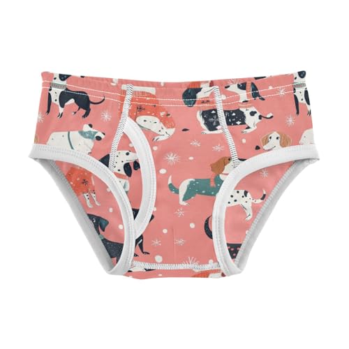 Wusikd Dachshunds Boys' Underwear Cotton Boys Briefs Soft Toddler Underwear 2T