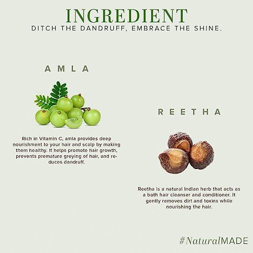 Khadi Natural Amla & Reetha Hair Shampoo | Anti-Hair Fall Shampoo | Shampoo for Thick & Strong Hair | Ayurvedic Shampoo for Healthy Hair | Suitable for All Hair|Pack of 2 | (210 * 2) (420 ml)