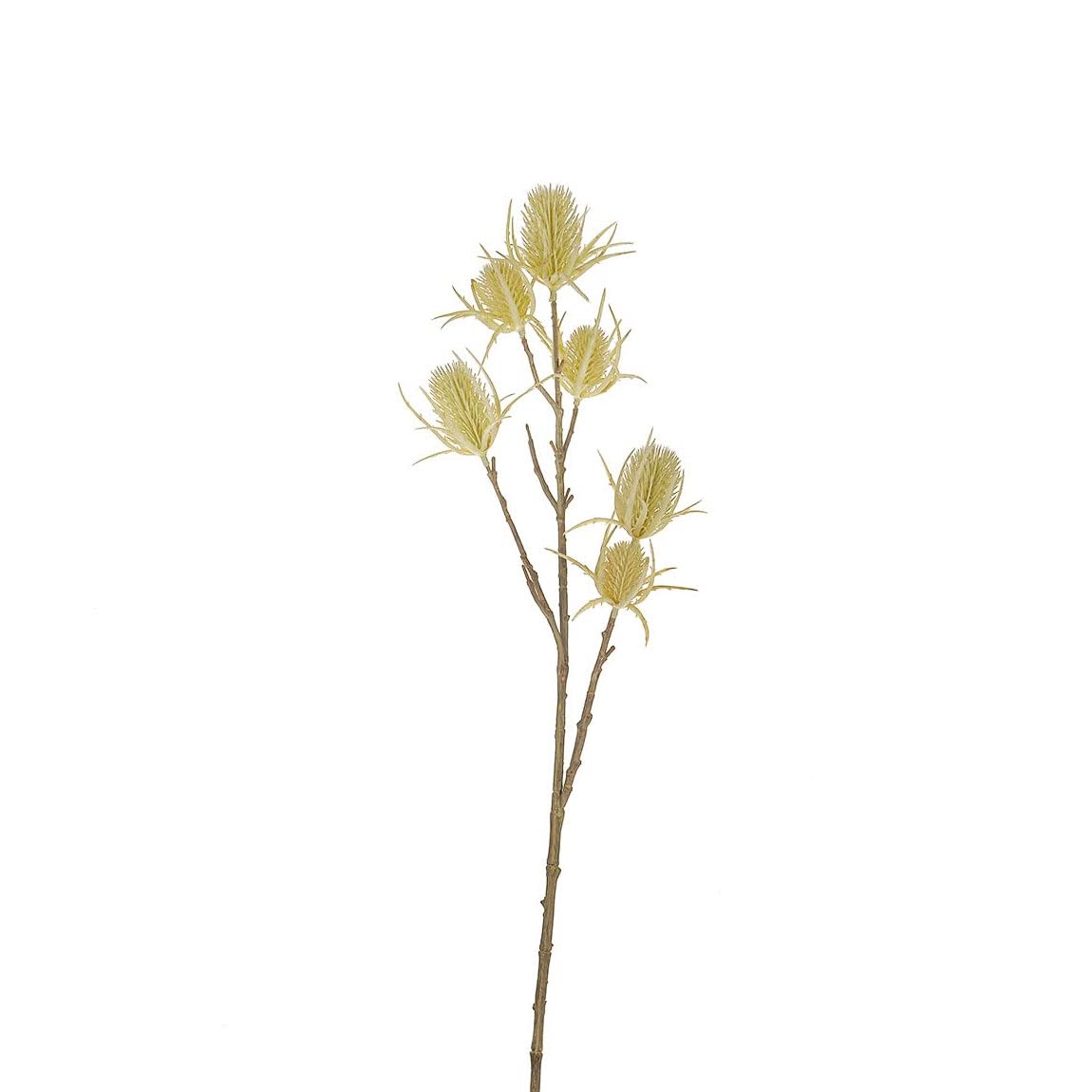FloristryWarehouse Artificial Teasel Spray 64cm/25 Inches Tall Cream