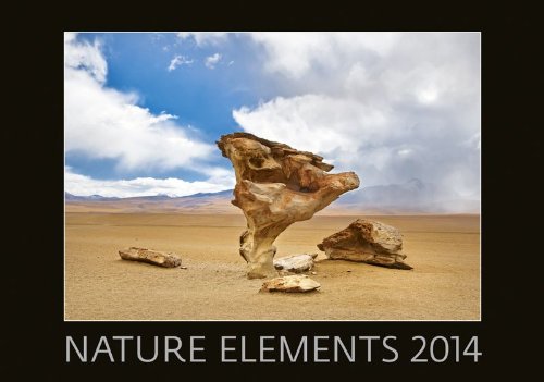 Nature Elements 2014 Wall Calendar