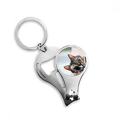Anneau porte-clés chat photographe avec décapsuleur, cadeau utile original