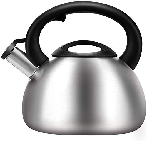 Bouilloire sifflante en acier inoxydable 3.5L pour induction et gaz SHISHI