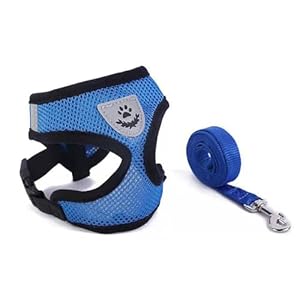 1 pcs Soft Mesh No Pull Cat Harness and Lead Set for Walking, Escape Proof Kitten Vest Harnesses for Small Animals Rabbit/Mouse/Cats, Cool Cat Collar (blue)