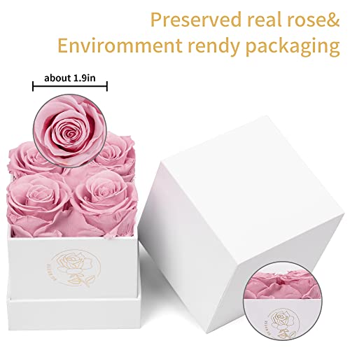 Duhouse 4Pcs Preserved Roses Box Of Forever Flower Eternal Roses Preserved Flowers Gift For Valentine Birthday Mother's Day Thanksgiving Christmas Anniversary(Pink) #TOP1