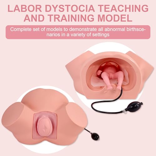 Image of Birth Midwifery Training Model Simulator, Life Size Midwifery Mannequin Childbirth Demonstration Obstetrics Gynecology Normal Abnormal Fetal Positions Delivery Maternity Manikin for Teaching Medical