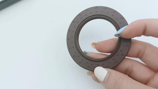 TRANSPEED 6DCT250 DPS6 Automatic Transmission Rebuild Before Oil Seal Kit For Focus ECOSPORT Scenic MEGANG Laguna Transit - View #4