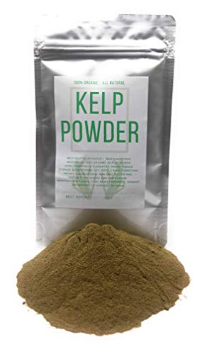 Organic Kelp Powder - Wildcrafted in France from Wild Collection - Net weight: 2.11 Ounces   60 Gram - Thongweed, Sea Thong, Sea Spaghetti - Himanthalia Elongata Powder