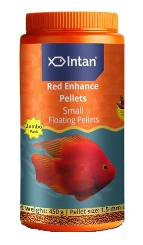 See full amazon price history chart for Intan Red Enhance Pellets (Small) 450g Intan Red Enhance Pellets (Small) 450g (B0DBJD2T8Q) Amazon Price History, Amazon Price Tracker