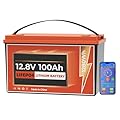 12V 100Ah Lithium LiFePO4 Battery Bluetooth, 100A BMS, Great for RV, Camper, Trolling Motor, LED Lights, Solar Backup Power, Small UPS, Off-Grid Applications