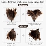 KEMUZ B0FJ1XR1P8 lato 4