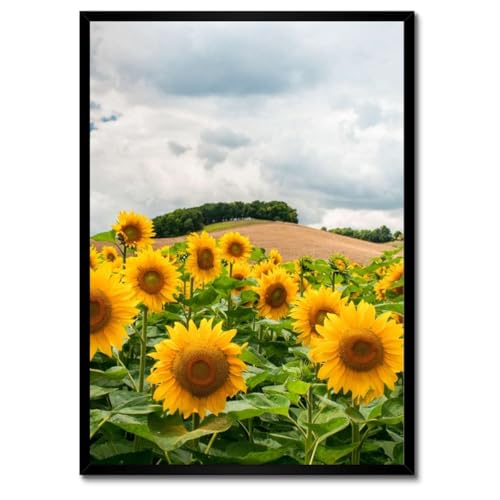 Poster tournesols avec cadre blanc 50x70 cm decoration murale paysage H1931Z