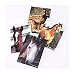 Horse Memo Pads (12 Pack) 3 3/8. Paper.