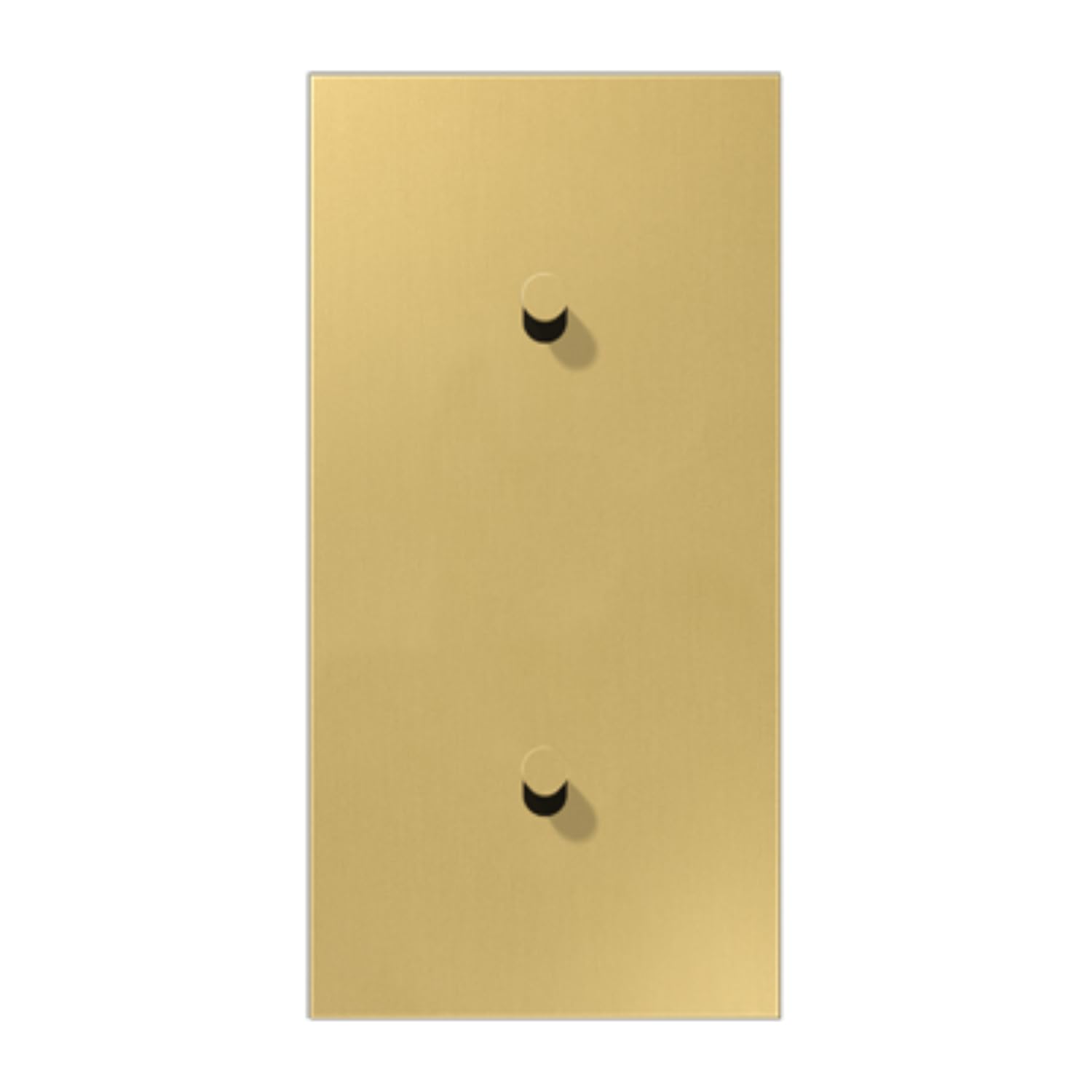 Placa vertical JUNG ME12-20CK25 en latón classic para estancias exclusivas