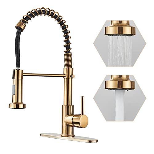 Danpiang Gold Kitchen Faucet,Commercial Stainless Steel Single Handle Pull Down Kitchen Sink Faucet With Deck Plate,Brushed Gold #TOP1