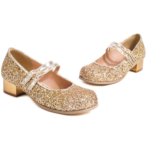 Women Glitter Mary Jane Pumps Block Heel Low Heel Sequin Double Strap Round Toe Fashion Dress Shoes2