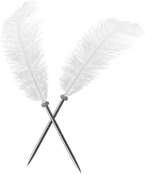 Simple Polymer 2 Pcs Feather Pen - Black Ink Ballpoint Pen Vintage Feather Quill Signing Pen for Student School Writing or Wedding Signature White