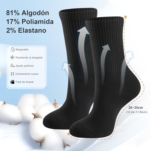 Recopilación de Calceta disponible en línea. 8 Imagen adicional
