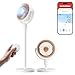 SwitchBot Ventilador Circulador de Pie con luces RGB, ultrasilencioso de 22 dB con mando a distancia, hub Matter, caudal de 9,15 m³/min, altura ajustable, 4 modos, 9 velocidades, temporizador de 9 h
