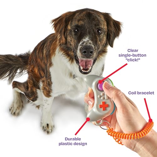 Brightkins Smarty Pooch Gamepad Training Clicker – Dog Training Clickers Brightkins Smarty Pooch Gamepad Training Clicker – Dog Training Clickers