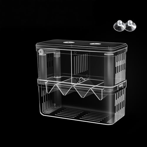 ^NɐBA15*15cmuANZT[AnO\ȃu[_[eAWGr̃Obs[ƃx^A[tBbV̕ɍœK (_u[ij)