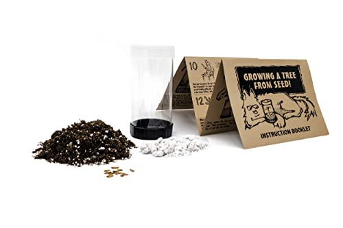 Giant Sequoia | Tree Seed Grow Kit | The Jonsteen Company #TOP1