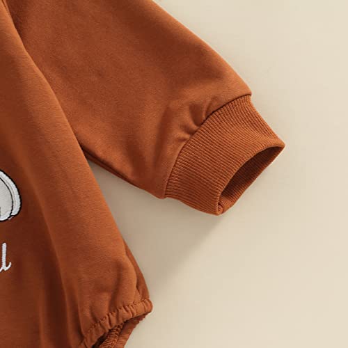 Wytyjxccyy Newborn Baby Boy Girl 1St Halloween Outfit Crewneck Overisized Sweatshirt Romper Pumpkin Bodysuit Fall Winter Clothes (Brown, 0-6 Months) #TOP3