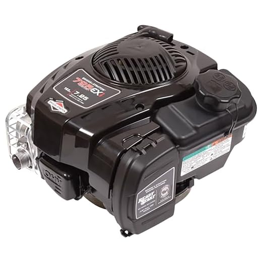 Briggs and Stratton 725EXi Series Single Cylinder Air-Cooled 4-Cycle Gas Engine