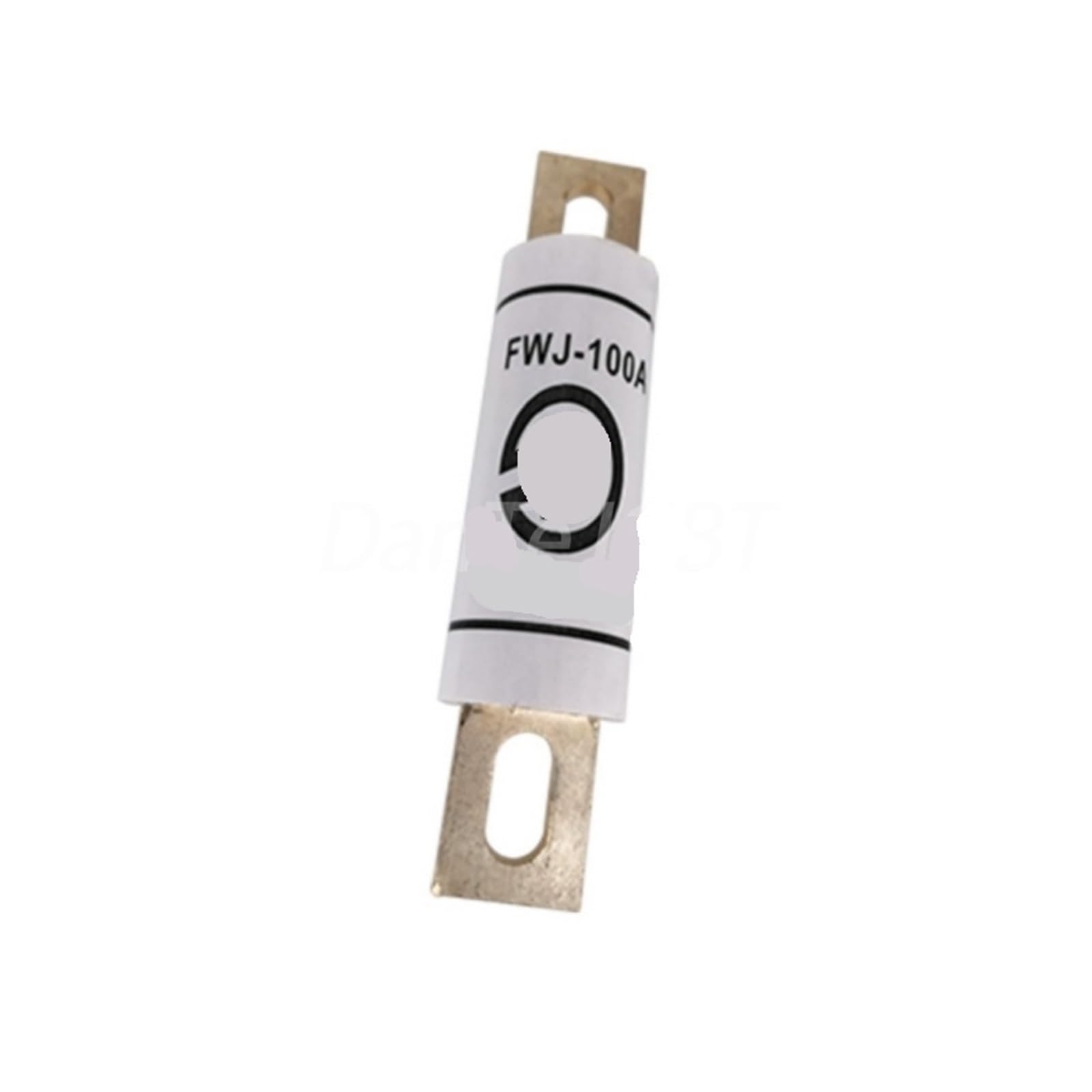 CBYUIGHNS FWJ-100A Fuse