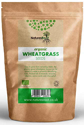 Portal Cool Las semillas del paquete: 1 kg: El pasto de trigo orgánico certificado - Jugo | brotación | Hierba del gato | Molienda