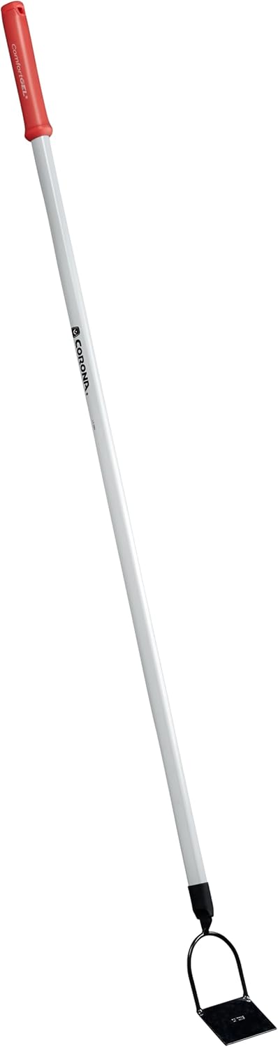 https://m.media-amazon.com/images/I/41RZsfFx-3L._AC_SL1500_.jpg
