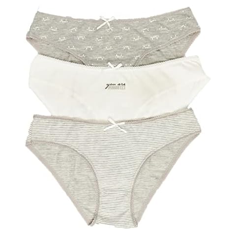 ecrou Women's Cotton Briefs Multipack Hipster Comfortable Women Underwear Pack of 3, Perfect., S-M Cover