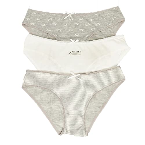 ecrou Baumwolle Hipster Damen Slips - Elastische Periodenunterwäsche, Seamless Schlüpfer für Damen - Bequem & Praktisch für den täglichen Gebrauch-3er-Pack - Mit Motto Druck Cover