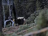  Gestörte Kommunikation