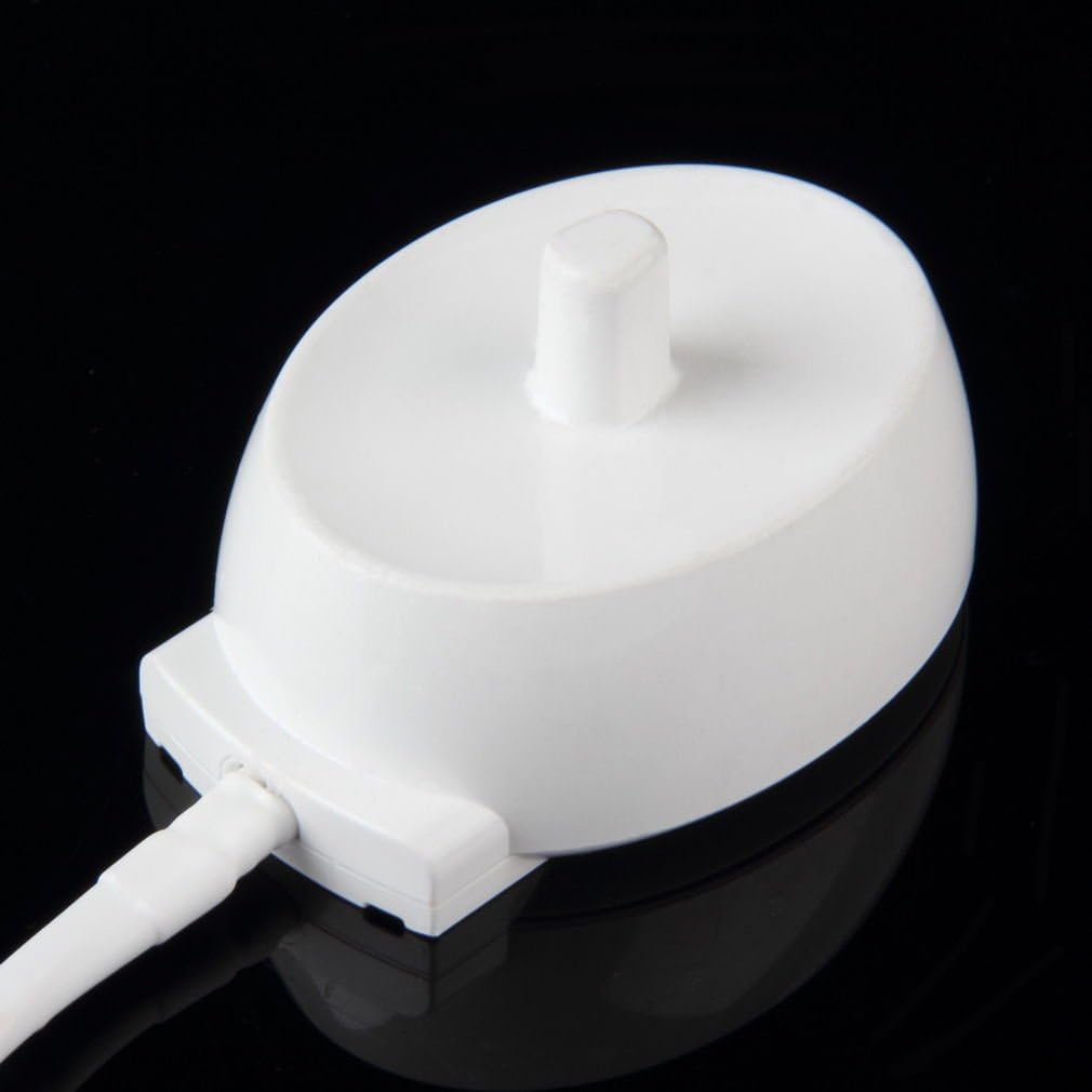 CycleMore New Electric Toothbrush Replacment Charger Model 3757 for Br aun Oral-b and Dual Channel Voltage Converter