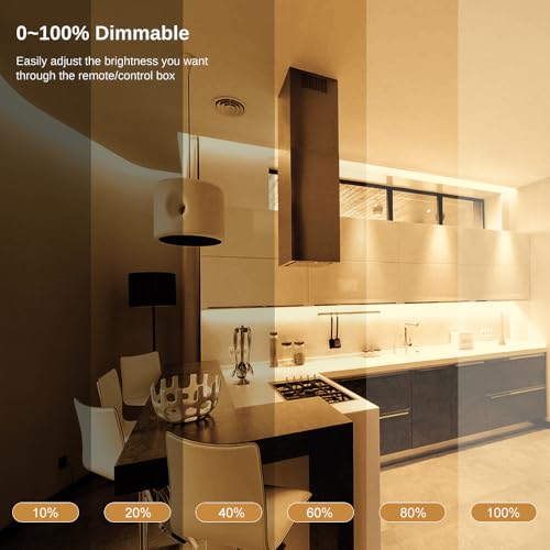 Tira de LED COB 10m Blanco Cálido 3000K Dimmable con Control miniatura 2