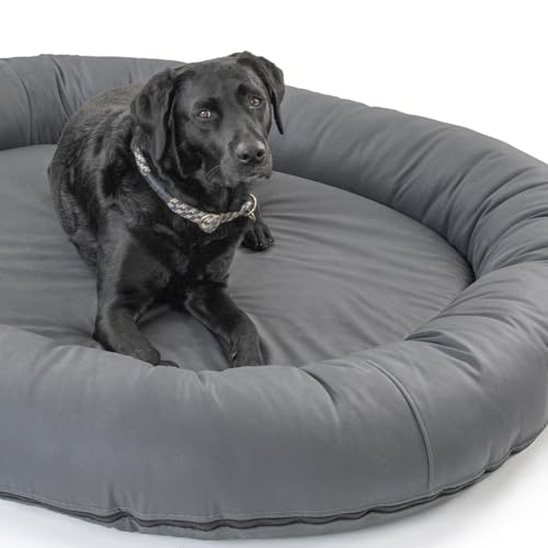 Wallace & Jones | Premium Hundebett Bolton Hundesofa 63x50 cm Hundecouch aus Kunstleder Hundebett für kleine Hunde, verdeckter Zipper, waschbar, rutschfest, dunkelgrau