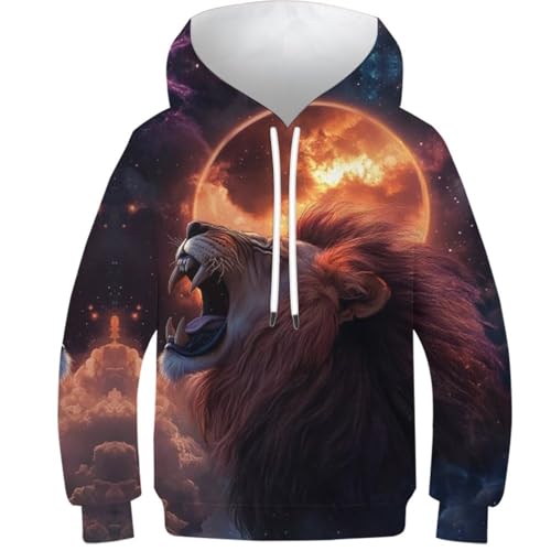 Pull graphique enfant lion 3D sweat à capuche pour l'école