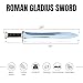 Generic Roman Gladius Sword Real, Full Tang Short Sword with Leather Sheath