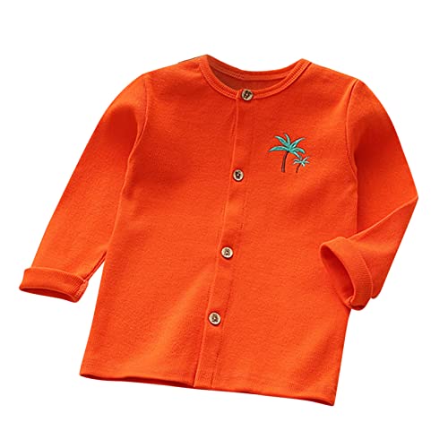 QINQNC Chaqueta Invierno Niño Abrigo Chubasquero Niño 3 Niño pequeño niños bebés niños niñas manga larga bordado de dibujos animados suéter de punto chaqueta 𝖢azadora Niño Regalo Niño (A, 2-3 Years)