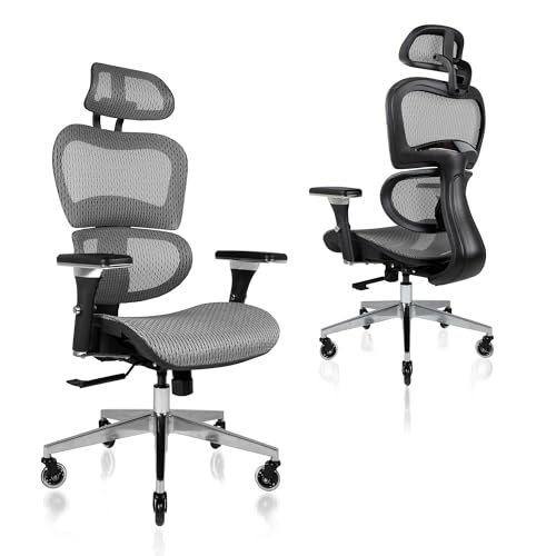 Nouhaus Ergo3D Ergonomic Office Chair Rolling Desk Chair with 4D