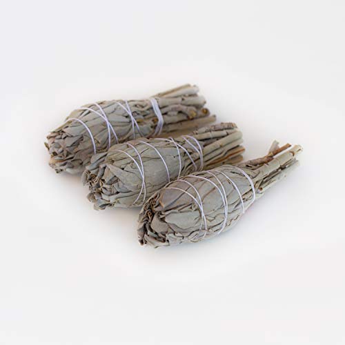 SMUDGING KIT Sticks - Sage Incense Sticks for Spiritual Chakra Cleansing, White Sage, Palo Santo & Abalone Shell for Healing Incense, Protection, Good Luck & Prosperity, Home Cleansing & Blessing Kit