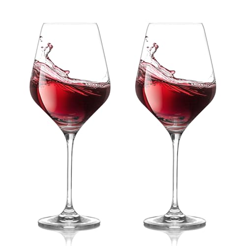 CIYIN Calici Plastica Rigida Lavabili, 2 Pezzi Calici Vino Plastica 420ml, Bicchieri Plastica Rigida Lavabili, in Tritan, BPA-Free, Bicchieri Vino Rosso, Vino Bianco (A)