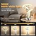 Lightess Modern Spiral RGB Table Lamp, Touch Dimmable LED Nightstand Lamp, 10 Light Modes Bedroom lamp, LED Bedside Lamps for Home Decor Living Room Office