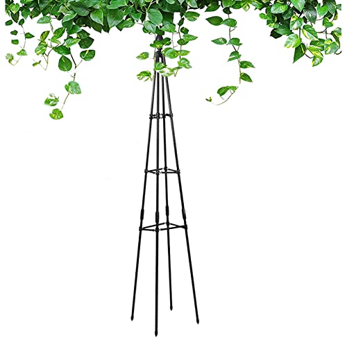 RADAAB Tuteur de Jardin，Support pour Plantes grimpantes Pyramide en métal 90 à 180cm，métal, à Poser,Treillis pour d'Extérieur, Colonne Rosier, Arche Plante grimpante, Black (Size : 47/120cm H)
