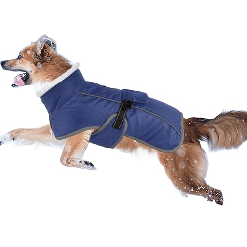 UOSIA ~g^[glbNt[XnR[gh߉\ȖhOqxXgXm[WPbg[h&˃Xgbvt^p