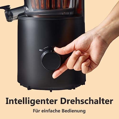 Hurom Entsafter H201 Slow Juicer für Obst und Gemüse Kaltpresssystem