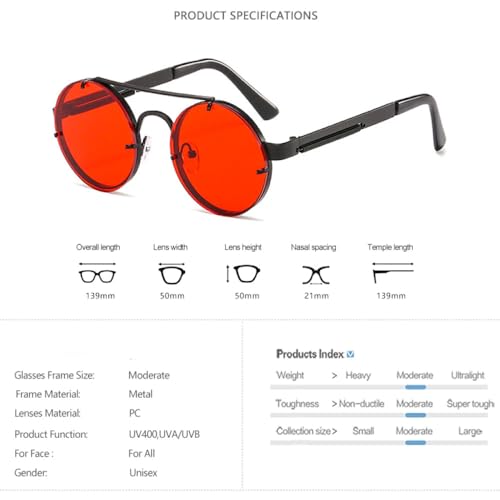 Vintage Steam Punk Round Sunglasses Men Women Retro Metal Double Beams Sun Glasses Fashion UV4003