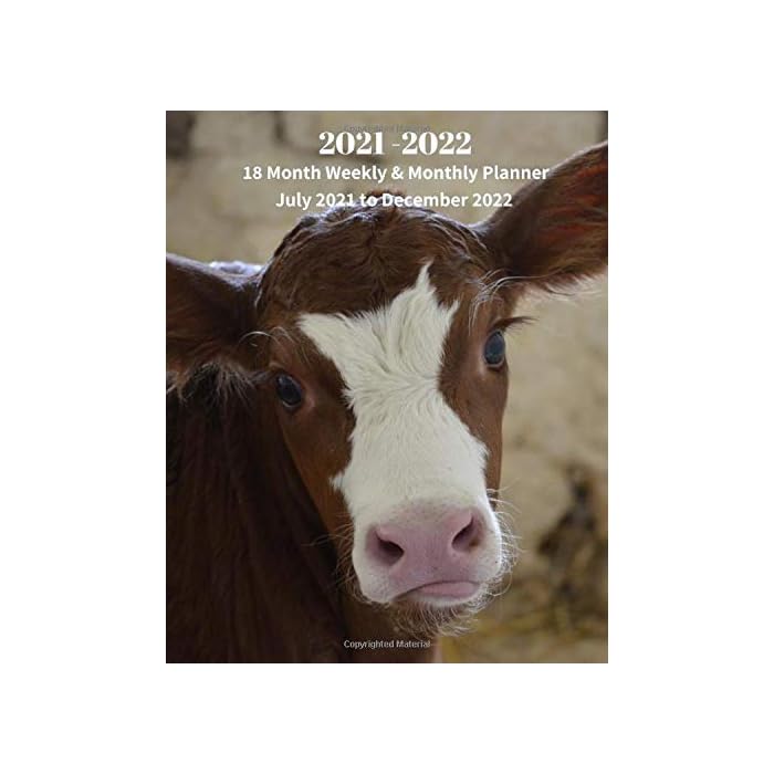 buy-2021-2022-18-month-weekly-monthly-planner-july-2021-to-december