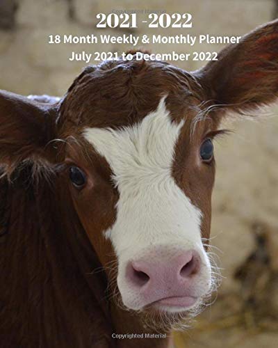 buy-2021-2022-18-month-weekly-monthly-planner-july-2021-to-december